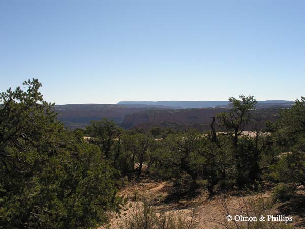 Canyon View